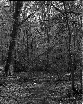 wpc8d6c196_0f.jpg